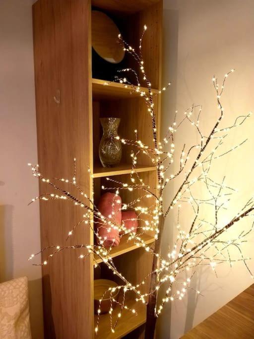 Small Luxurious Room In The Heart Of Saint Germain Paris Luaran gambar